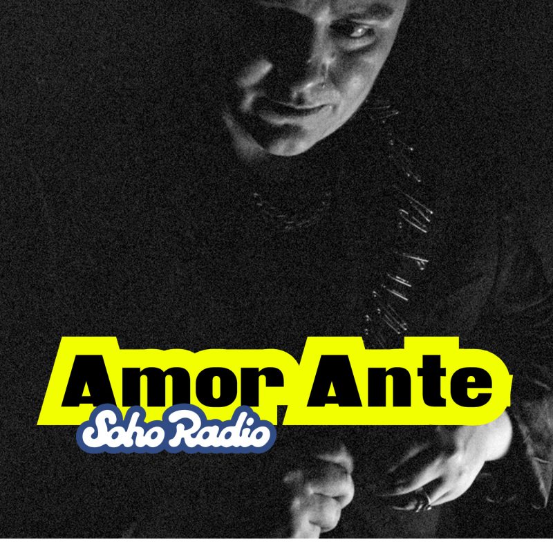 Amor Ante