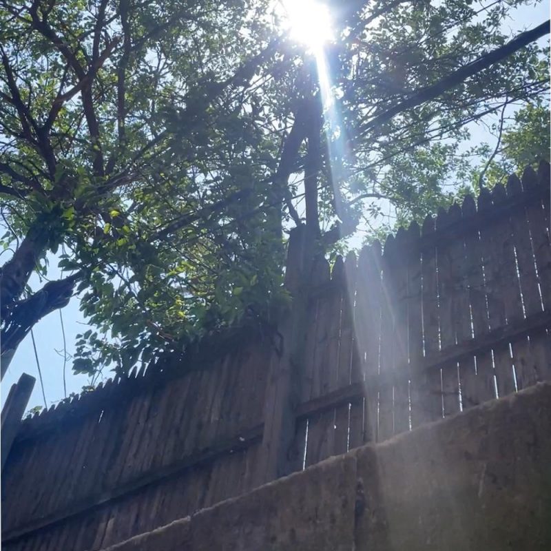 Sensation Experience with Bob Jones – Live From New York (19/06/2023)