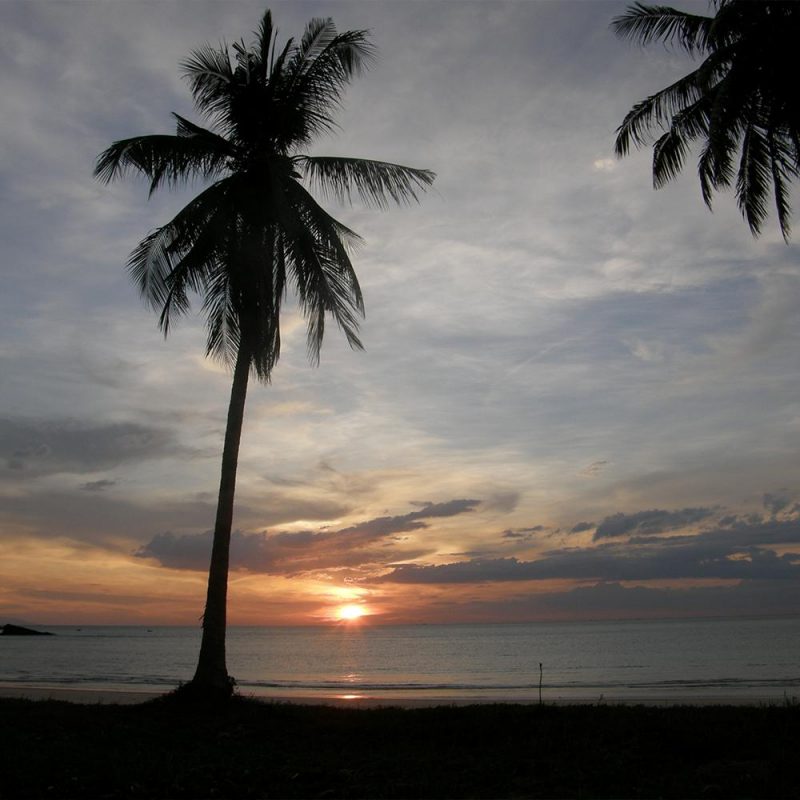 Bump with Dave Kadden – Live From New York (16/07/2023)