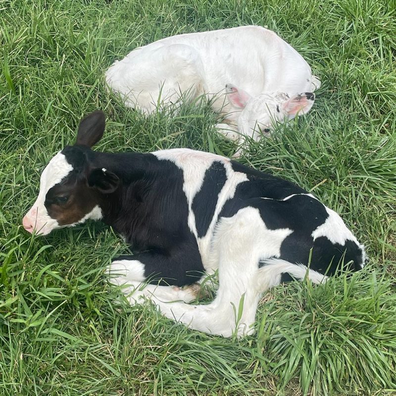 Sensation Experience with Bob Jones – Live From New York (14/08/2023)