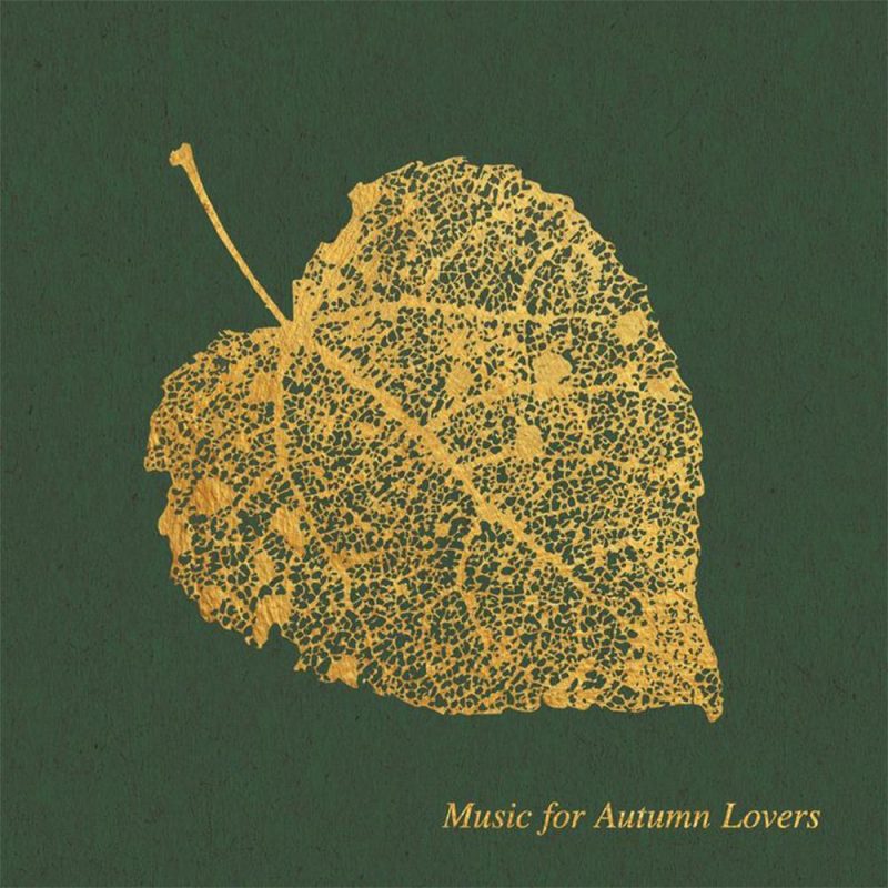 Morning Glory (04/11/2024)