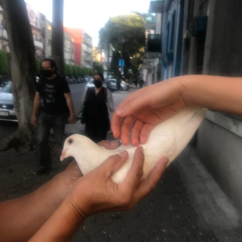 Hidden Place with Jude Woodhead (24/02/2025)