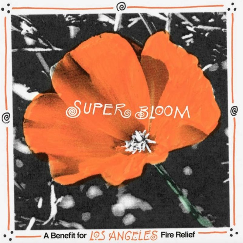 Morning Glory (11/02/2025)