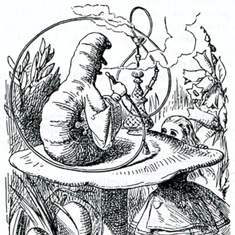 BUREAU OF LOST CULTURE – Myths of the Magic Mushroom (29/03/2025)