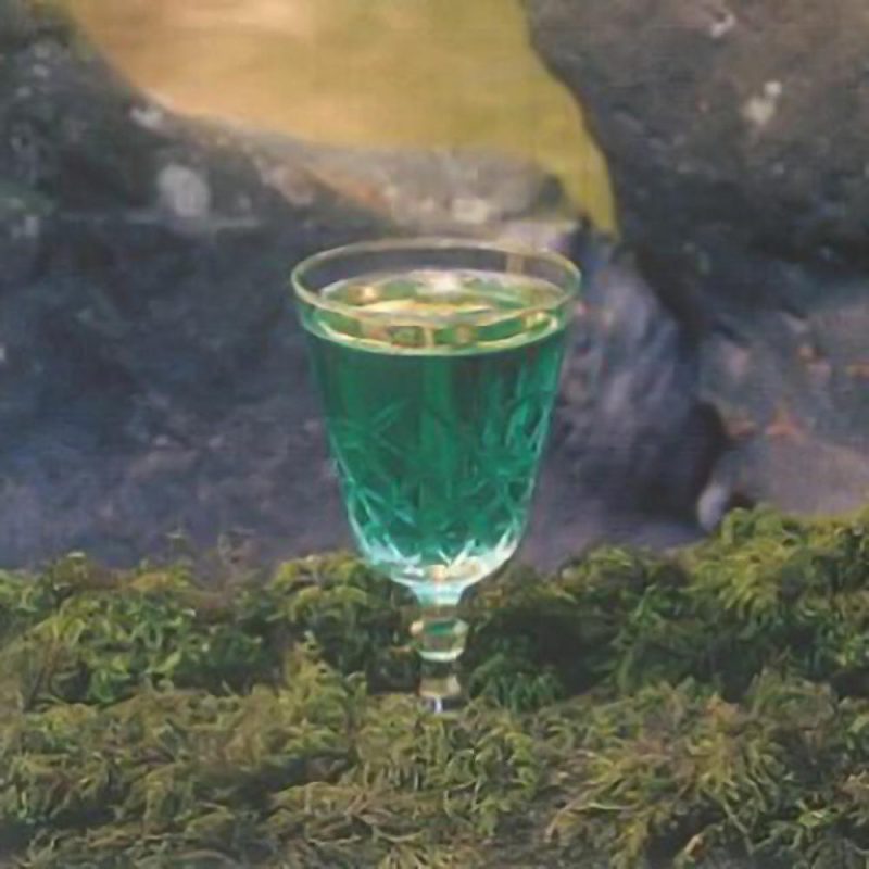 Morning Glory (17/03/2025)