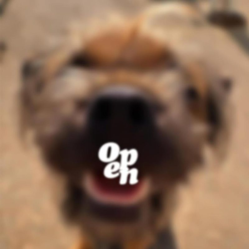 OPEN with Pete Fowler & Ian Sargeant (06/03/2025)