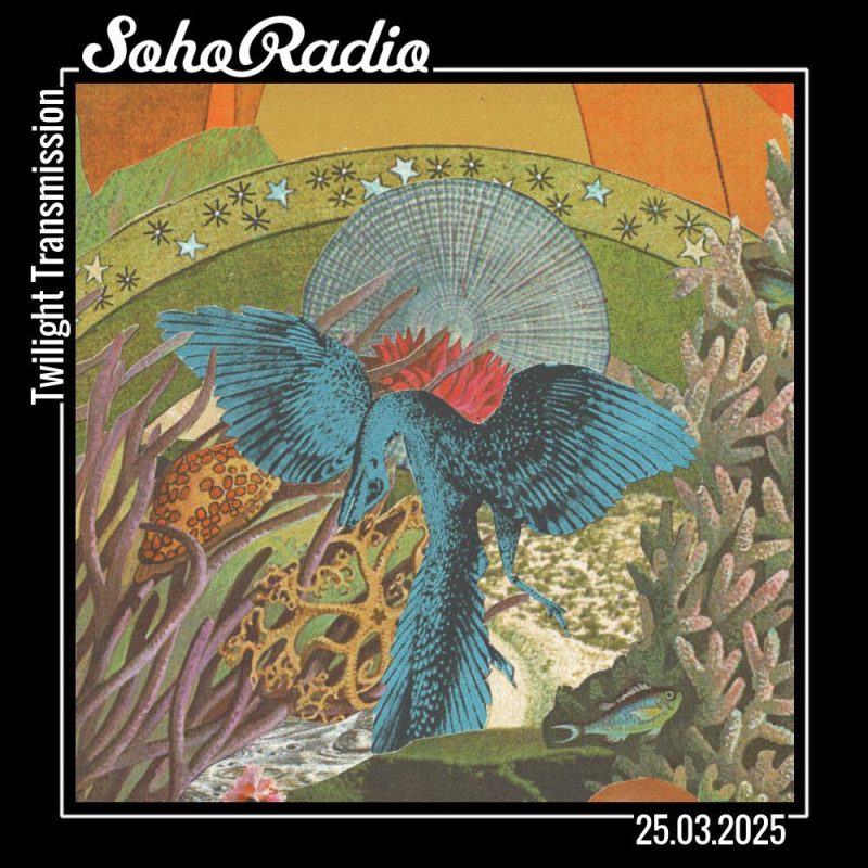 Twilight Transmission (25/03/2025)