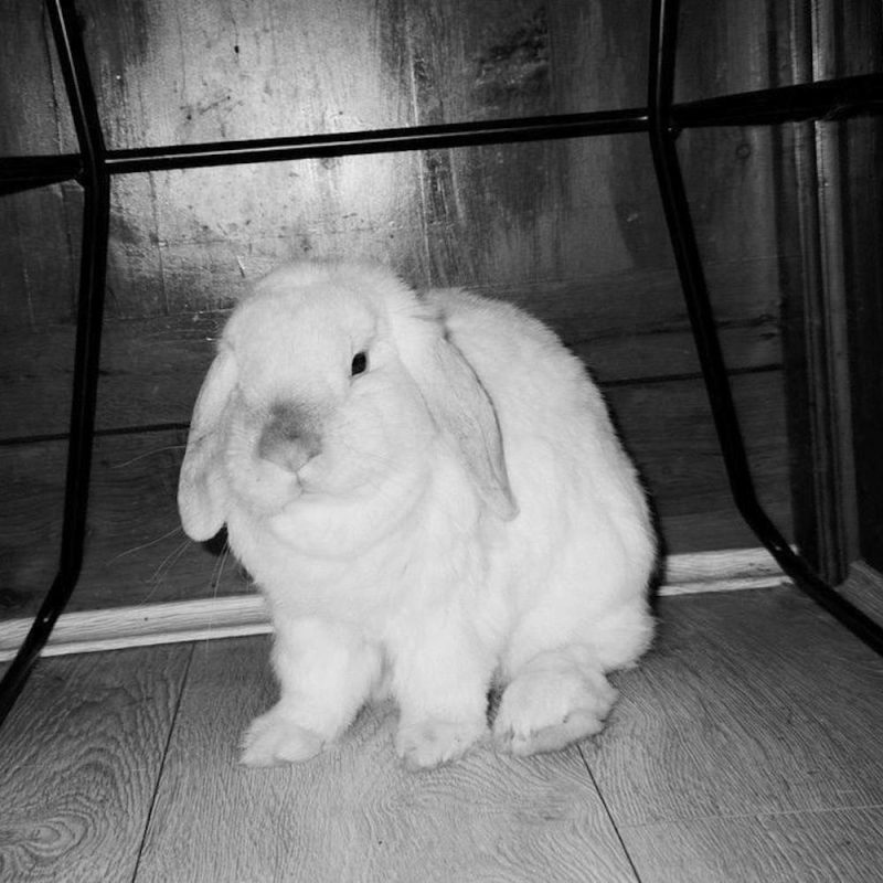 Last Dance (29/04/2025)