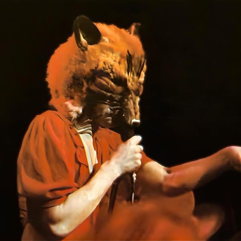 Morning Glory (03/04/2025)