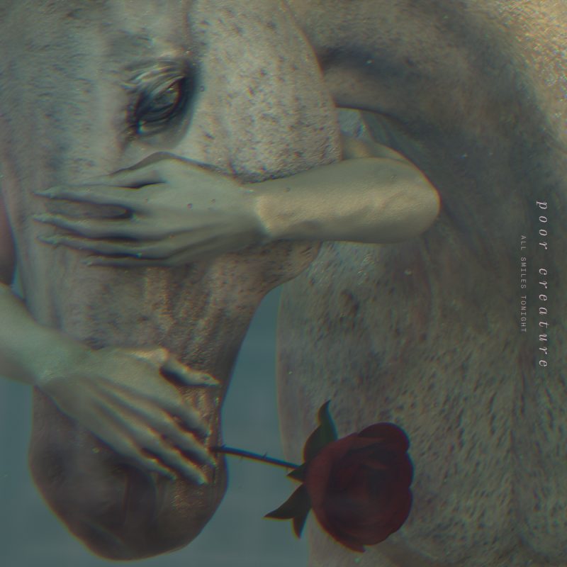 Morning Glory (08/04/2025)