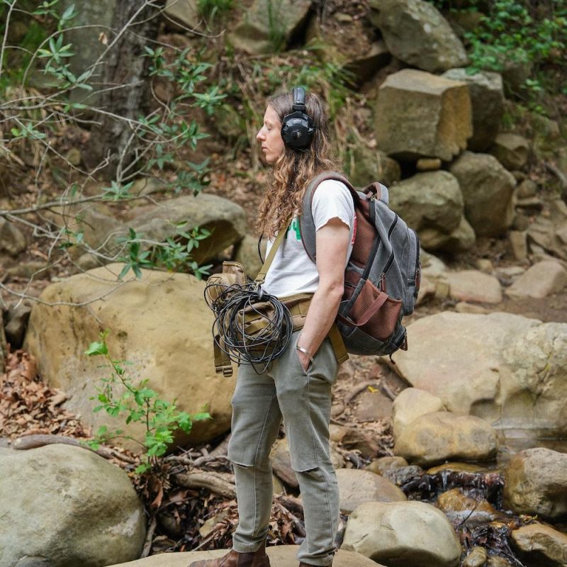 The Dream Stream (06/04/2025)