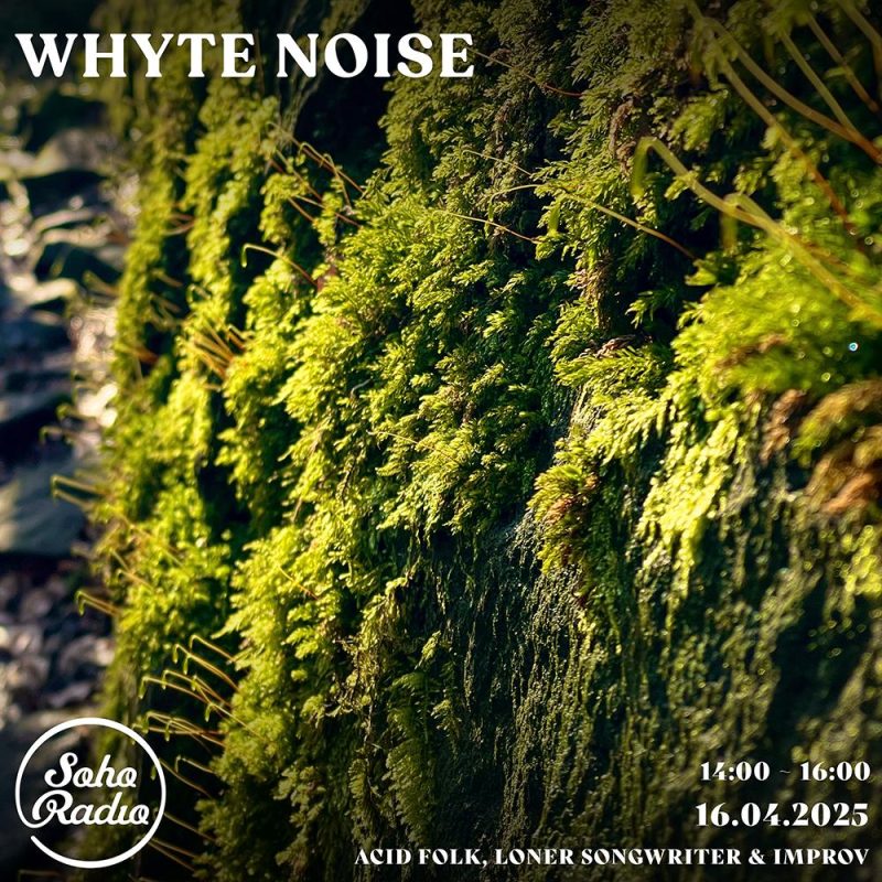 Whyte Noise – The Spring (16/04/2025)