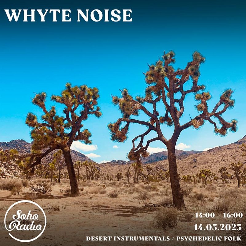 Whyte Noise (14/05/2025)
