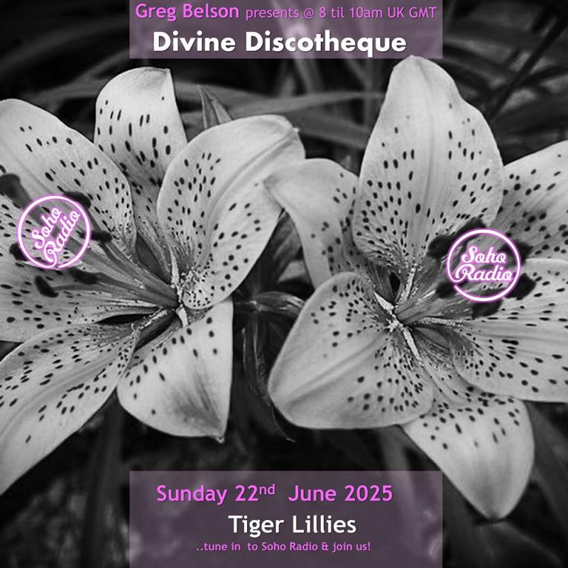 Greg Belson’s Divine Discotheque – Tiger Lilies (22/06/2025)