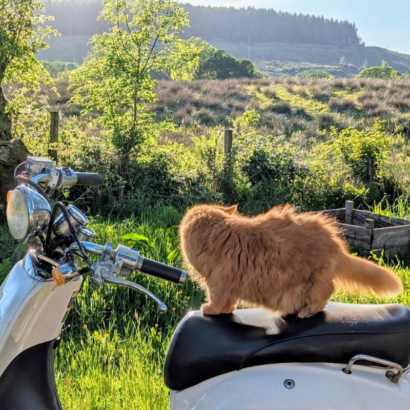 Last Dance (27/05/2025)