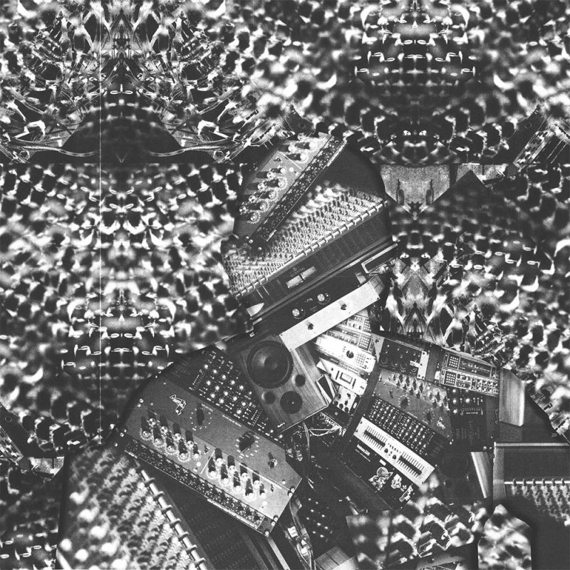 Morning Glory (09/05/2025)