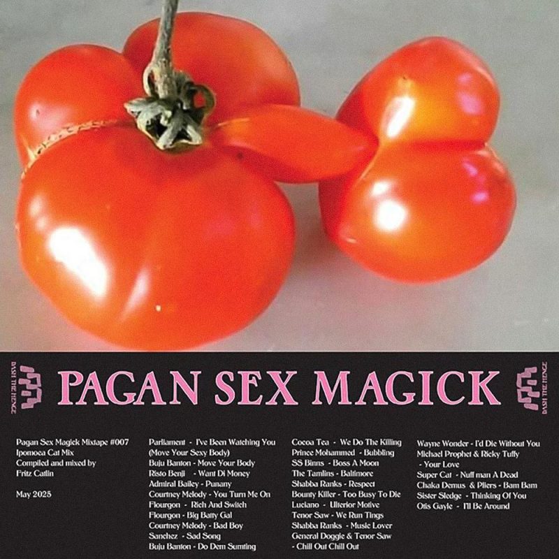 Morning Glory (15/05/2025)