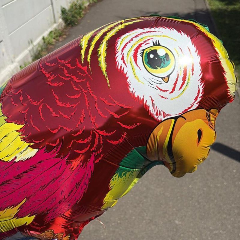 The Dispatch Show with Sonia Bernardo (23/06/2025)