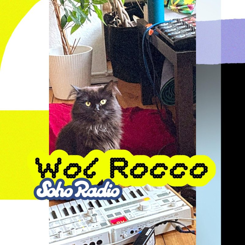 Wol Rocco (24/07/2025)