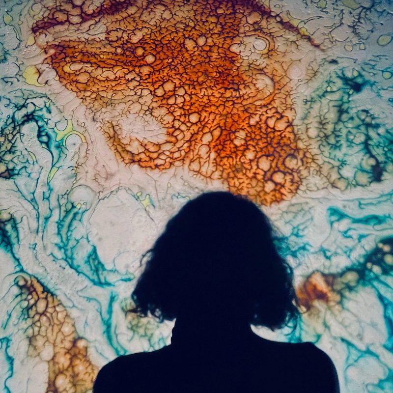 The Dream Stream (21/09/2025)