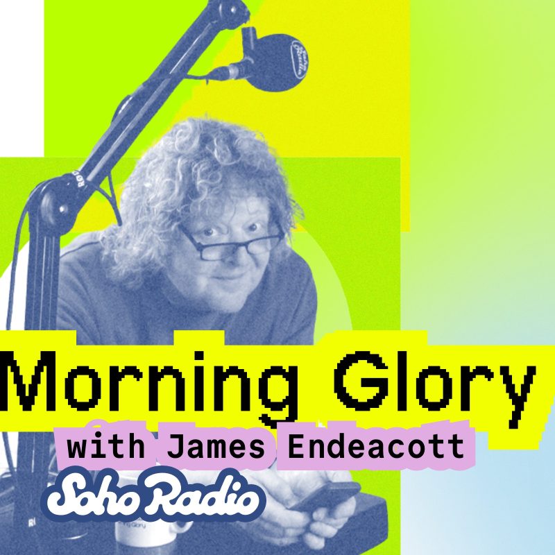 Morning Glory (11/09/2025)