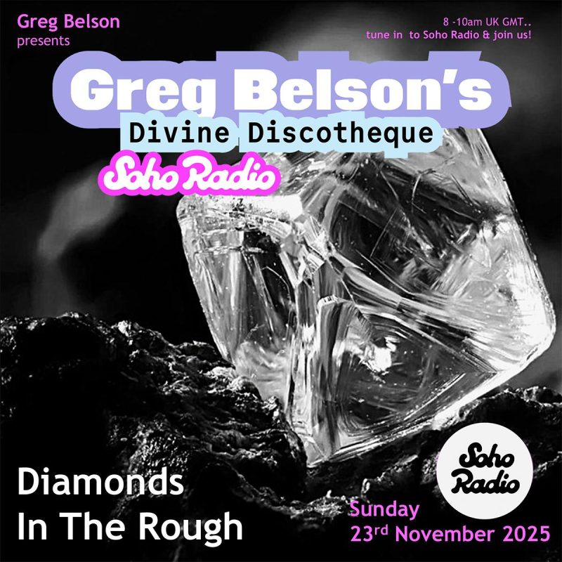Greg Belson's Divine Discotheque - Diamonds In The Rough