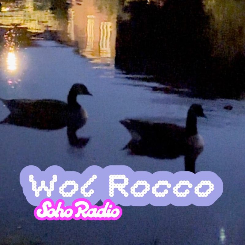 Wol Rocco (11/12/2025)