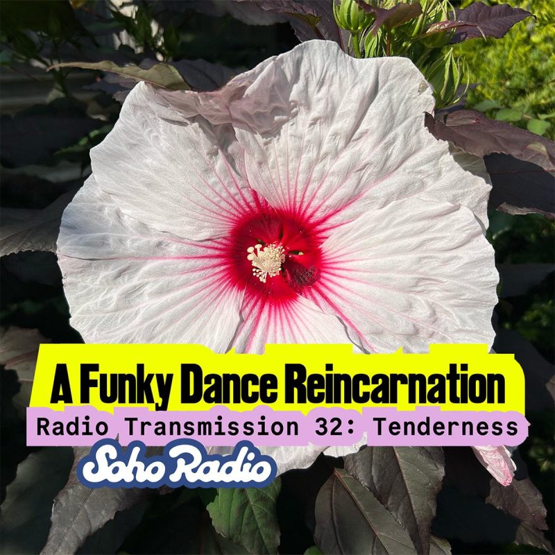 A Funky Dance Reincarnation - Radio Transmission 32: Tenderness