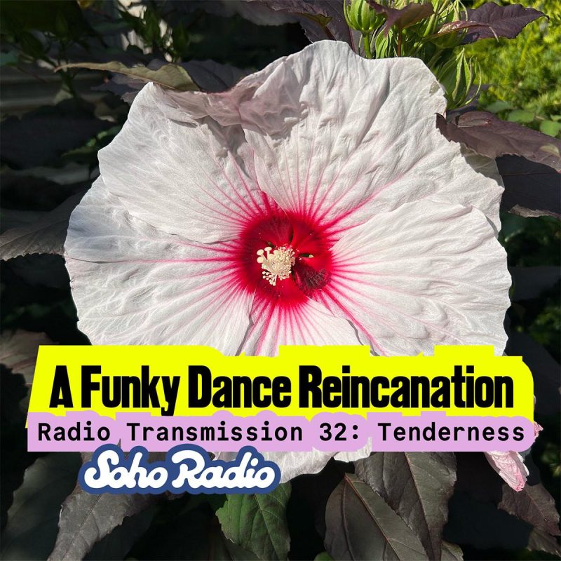A Funky Dance Reincarnation – Radio Transmission 32: Tenderness (23/08/2026)