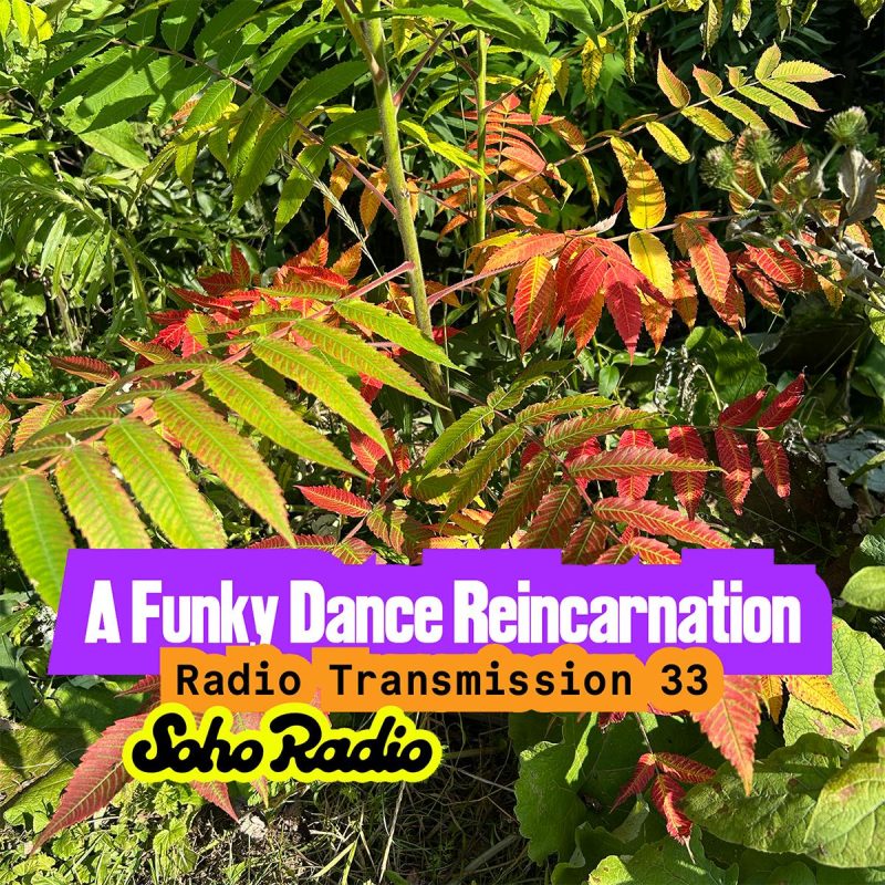 A Funky Dance Reincarnation: Radio Transmission 33
