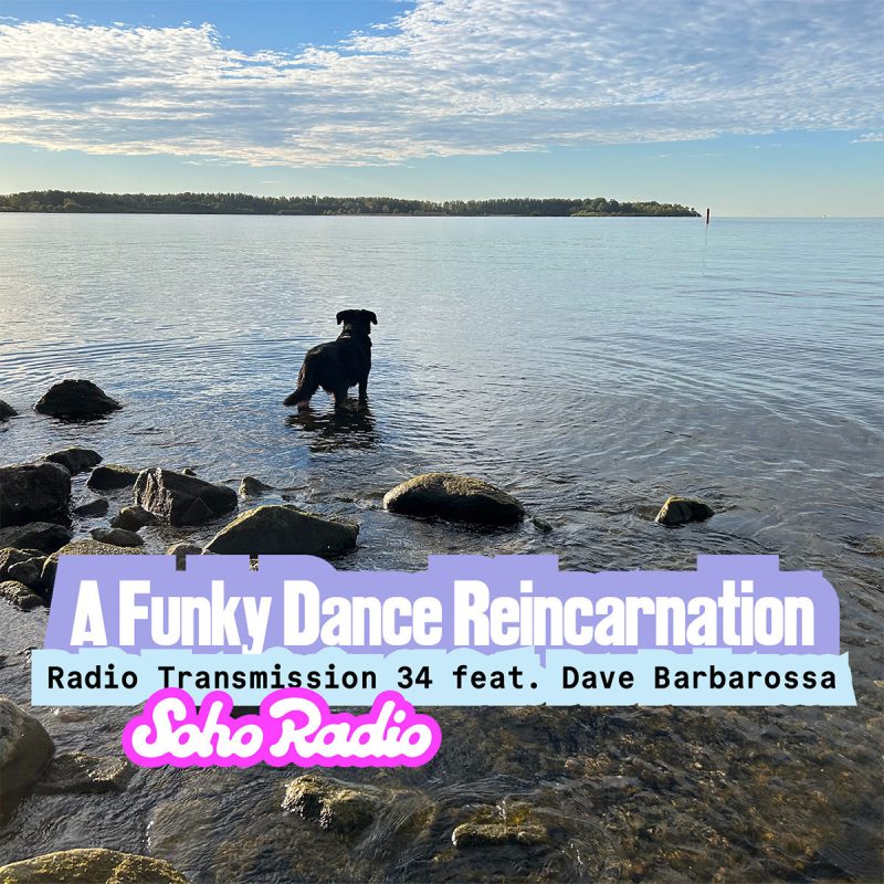 A Funky Dance Reincarnation: Radio Transmission 34 with Dave Barbarossa in conversation